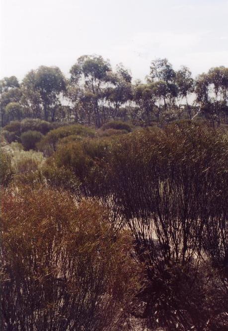 Looking west - as you can see nothing but bush all round