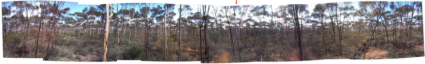 Looking around at the confluence. Red arrow indicates north.