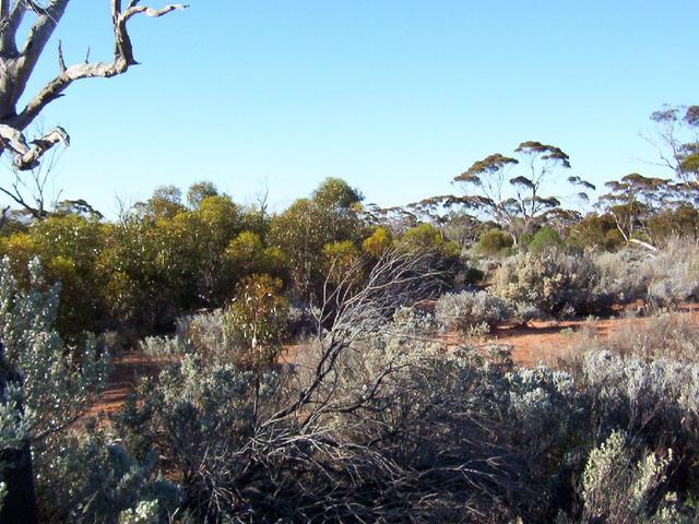 Looking north from the confluence