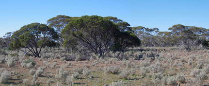 #1: General View of the Confluence Area