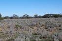 #3: Looking South from the Confluence