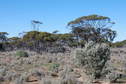 #4: Looking East from the Confluence