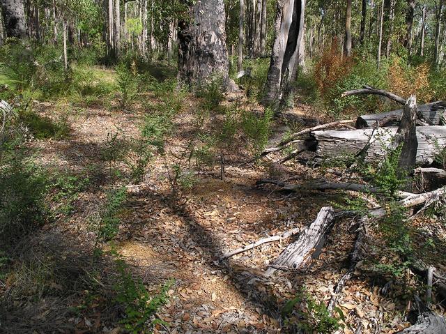 The Confluence Point