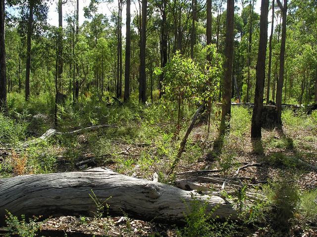 Looking north