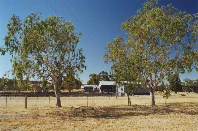 South towards sheds and yards.