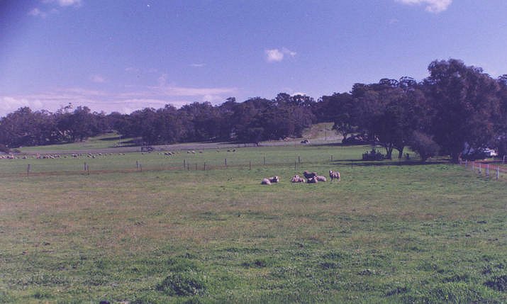 Winter time green pastures looking north west.