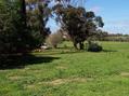 #2: The confluence point, marked with my orange camera bag to the left on the ground