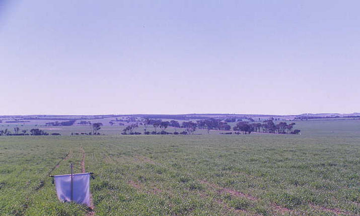 The northerly view.  Banner locates the point.