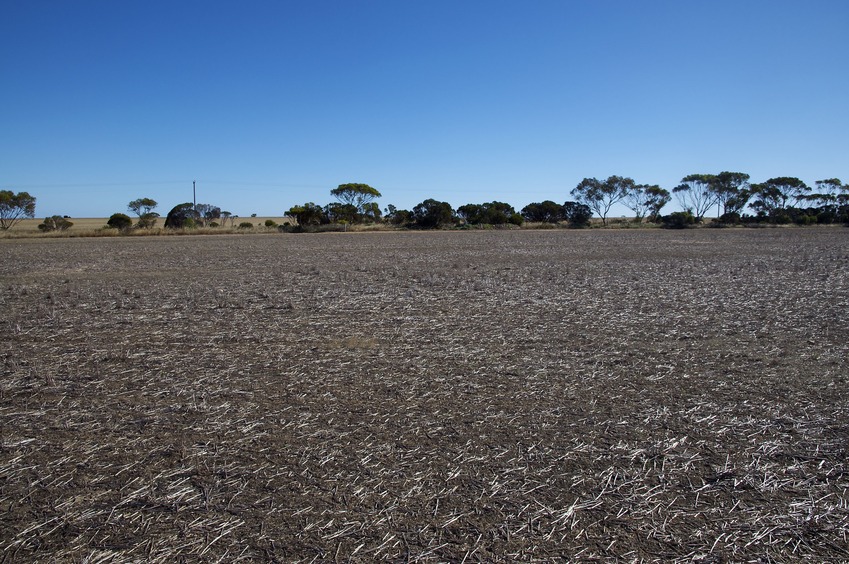 View South (towards Biddy Camm Road, 100 m away)