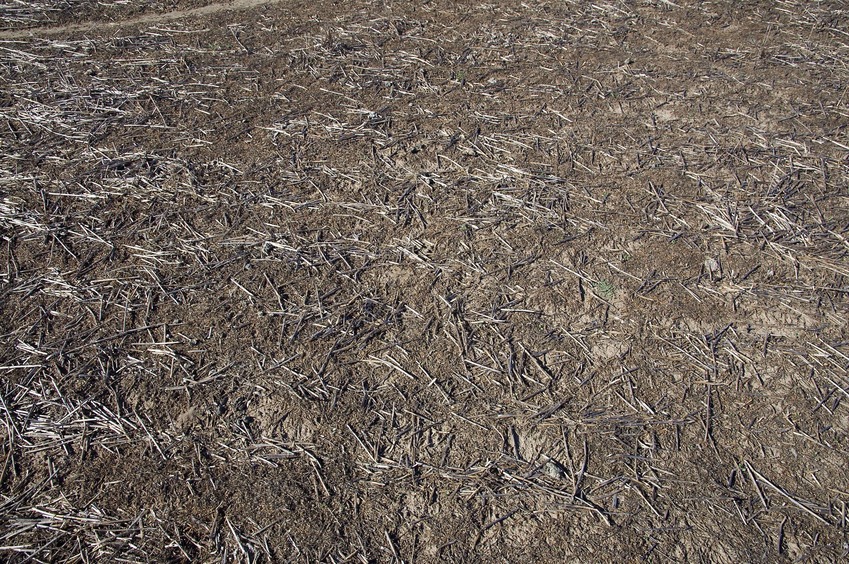 The confluence point lies in a farm field - currently lying fallow