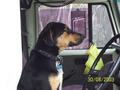 #5: Chauffeur & assistant navigator