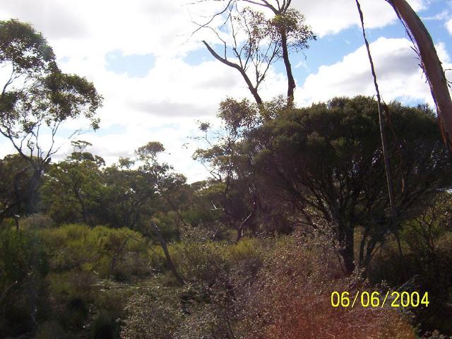 Looking north from cp