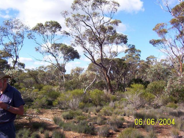 Looking east from cp