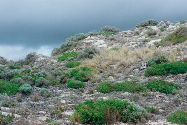 Sand dunes...