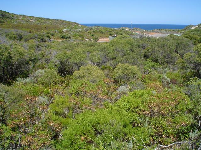 Confluence point in centre left with road, sewage treatment plant, and Indian Ocean in background