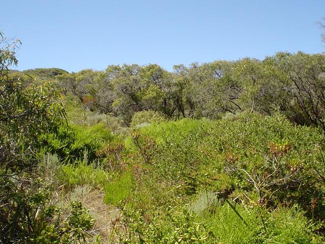 East from confluence point