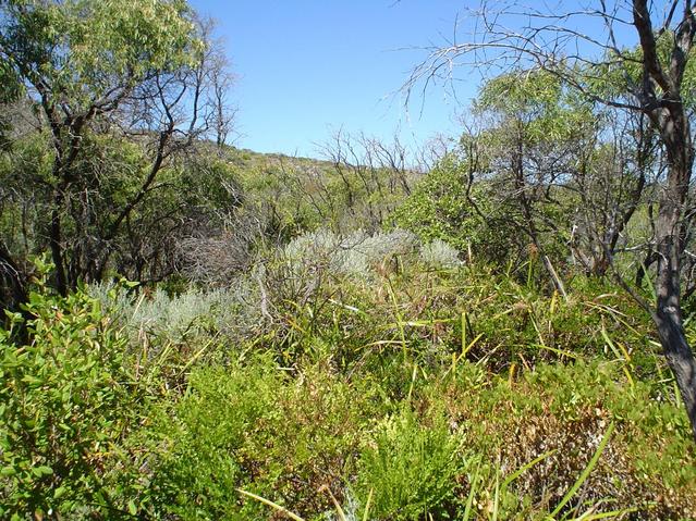 South from confluence point