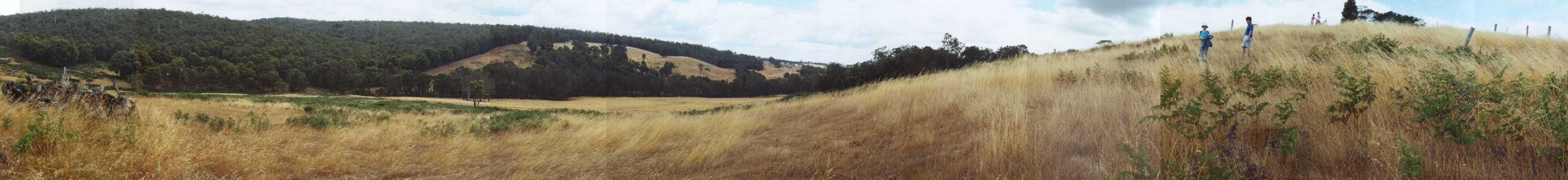 Panorama from North West (left)  to South West (right)