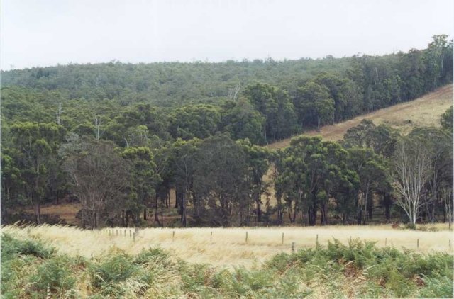 View NW From Confluence