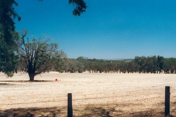 View from the road - s34e117 is under the tree in the mid-ground