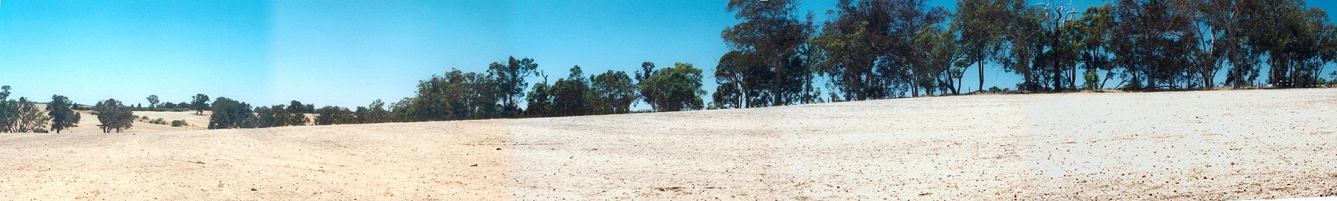 Panorama from due north to east - the other 270 degrees all looks the same!