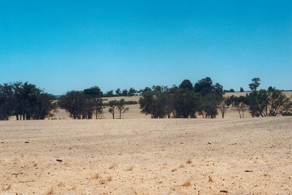 Mininiup Farm from the confluence