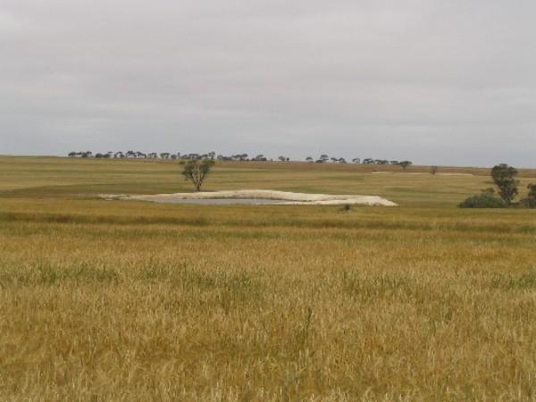 Looking south east with a dam in the background