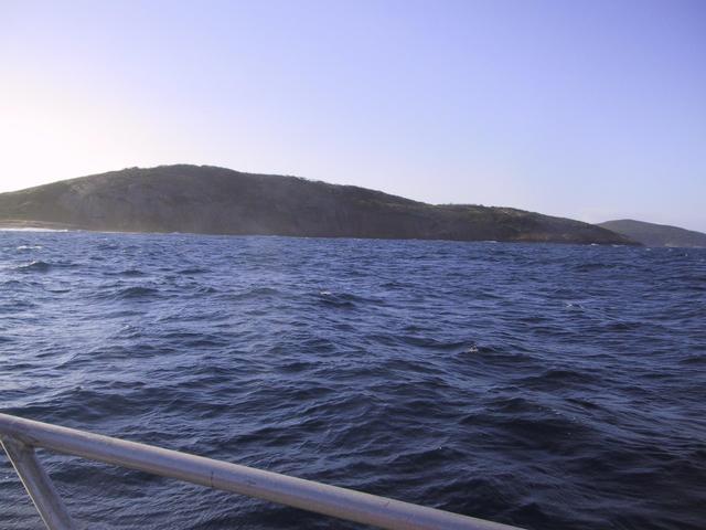 Confluence point looking north to Gunton Island