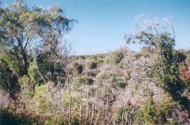 Looking north from the confluence.