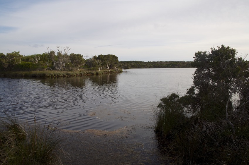 My 2nd attempt: This is where (the north fork of) Kent River meets Irwin Inlet (about 1.3 km from the confluence point)