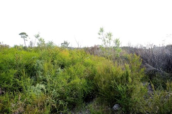 #1: As close as I got: 772 m from the confluence point. (Kent River is about 100 m away.)