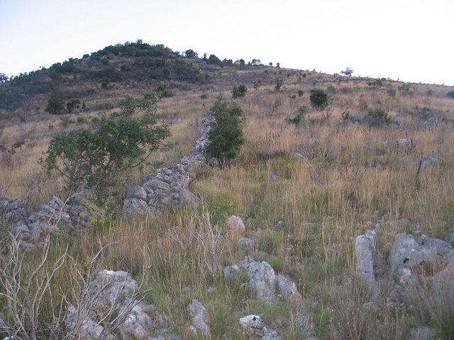 NE side of the Risnik where the confluence is.