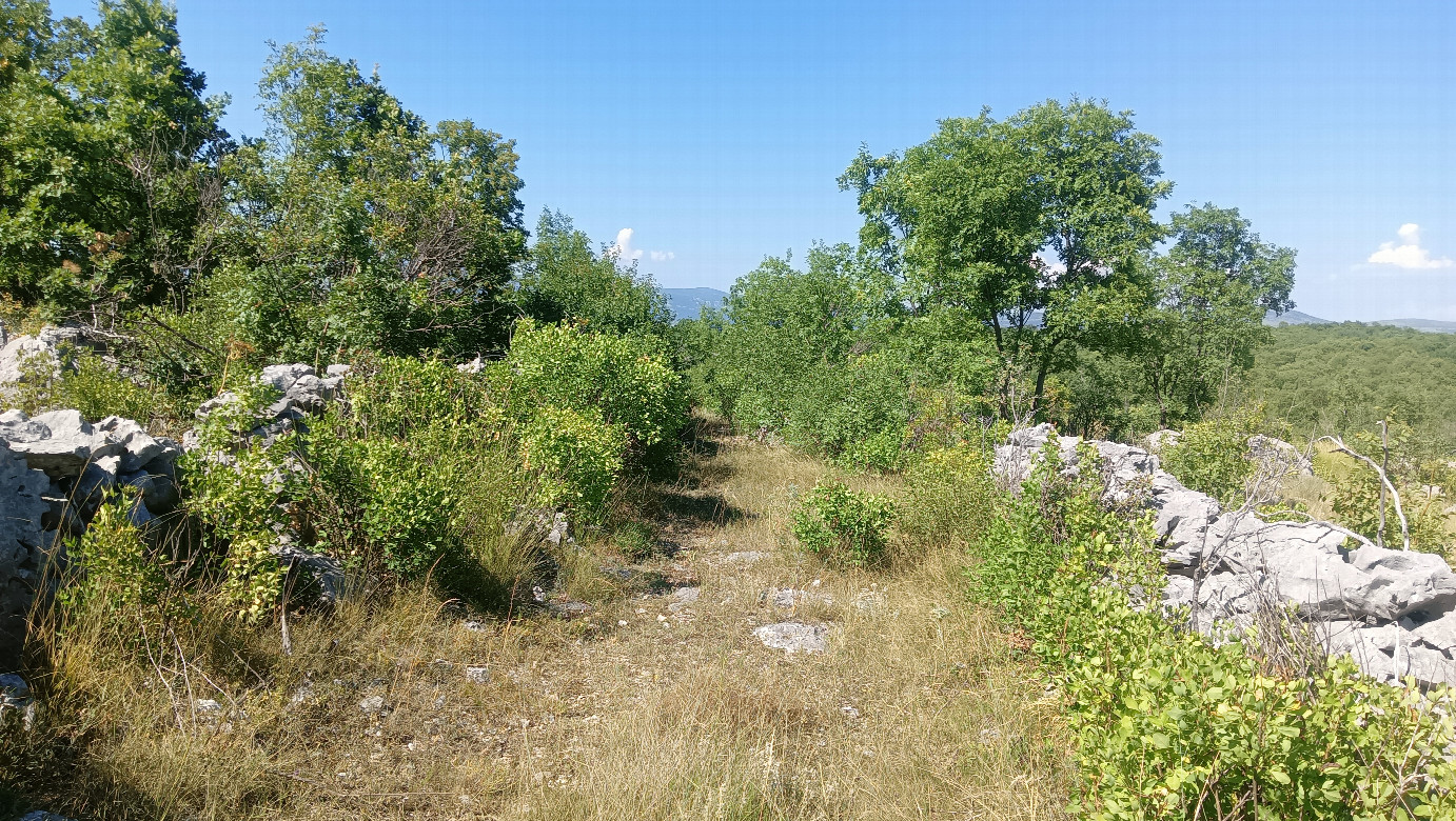 Stone fences