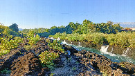 #11: Buna watererfalls