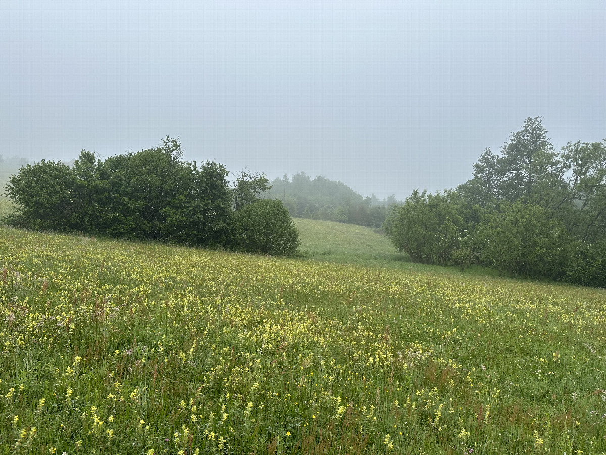 View to the East