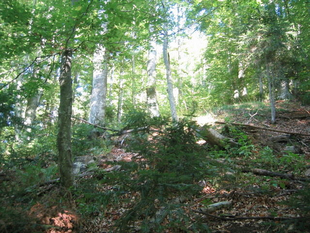 North and general view of confluence