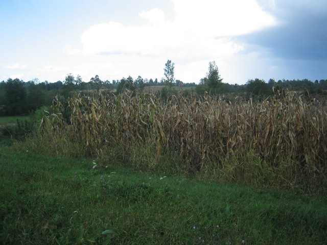 North view of confluence