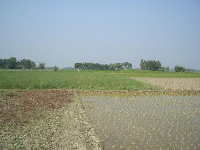 Looking North towards the confluence