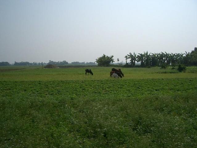 Looking South from the confluence