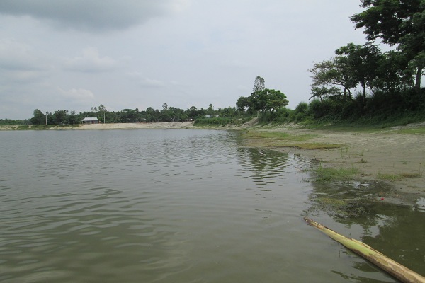 Looking West from the confluence