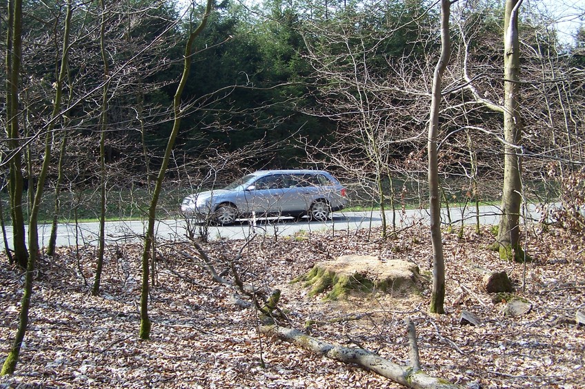 View towards S from the confluence