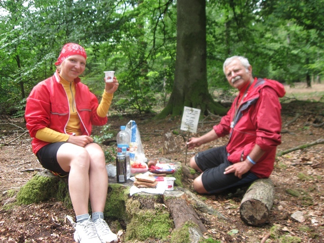 The picnic