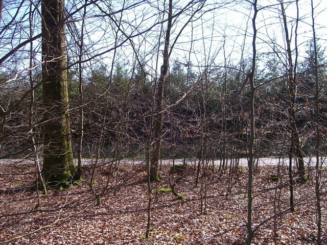 View south / Blick nach Süden