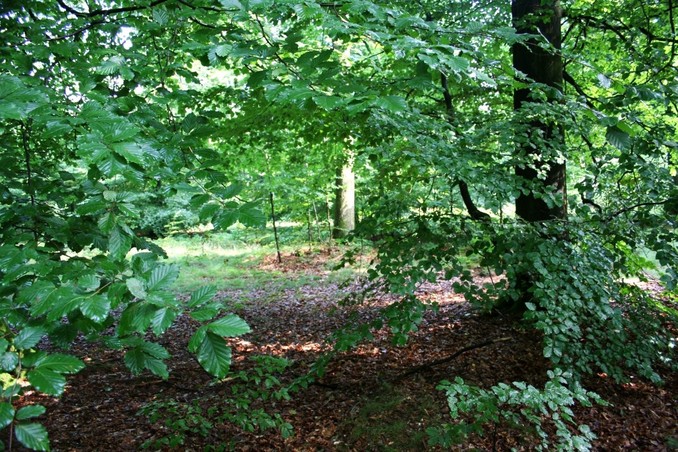 View of the point