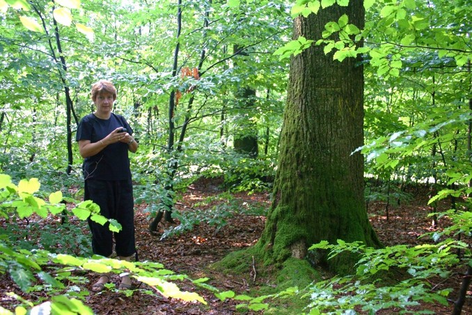 Nat close to the big oak