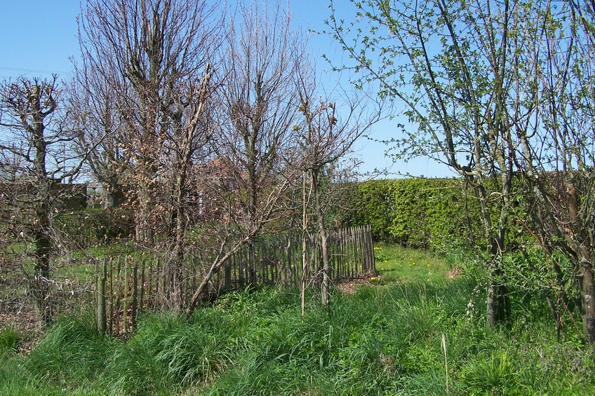 General view of the confluence (towards NW)