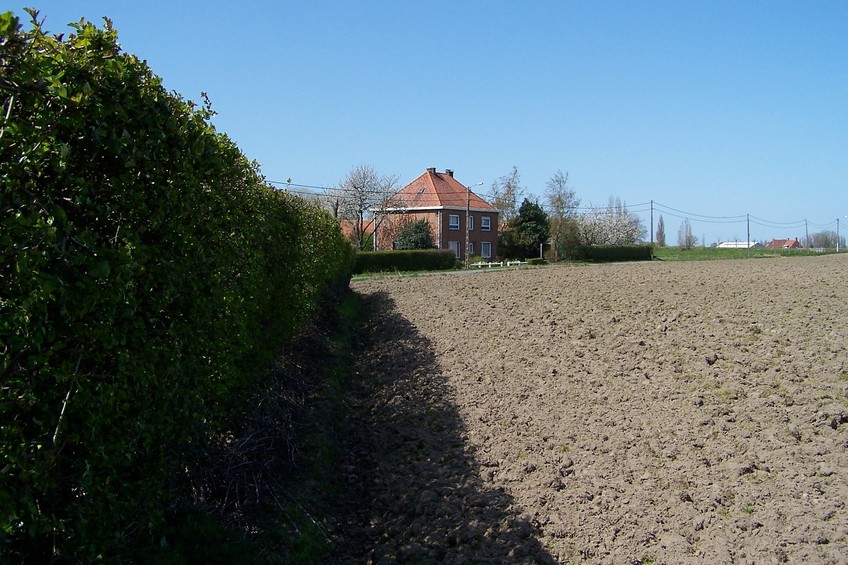 View towards W from the confluence