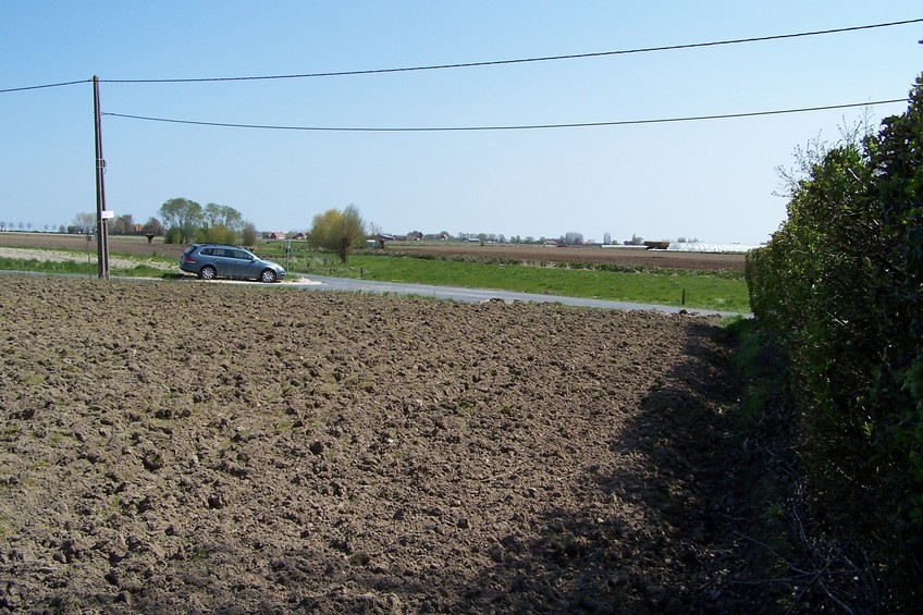 View towards E from the confluence