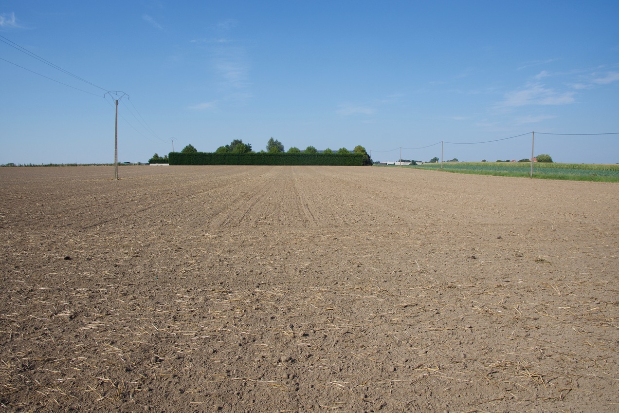 View North (from just outside the hedge, 4m North of the point) 