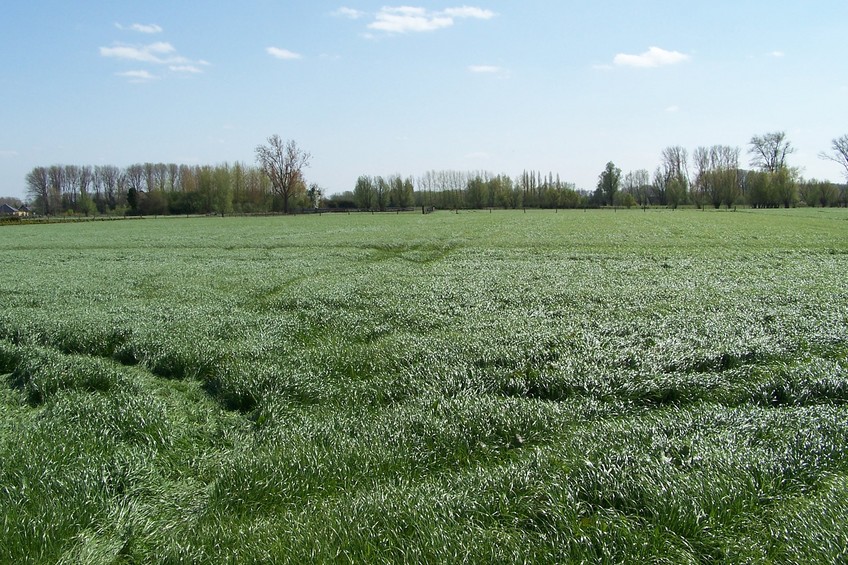 General view of the confluence (towards S)